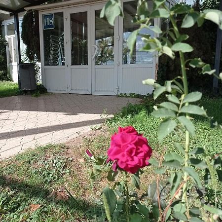 Hostal Brin Монреаль-дель-Кампо Экстерьер фото